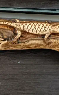 مارمولک چوبی