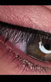 ارایش دائم ابرو، چشم، لب