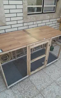 گنجه کبوتر