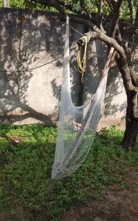سالی تور ماهی گیری نو نو