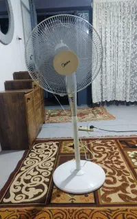 پنکه