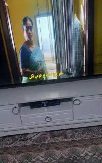 تلویزیون