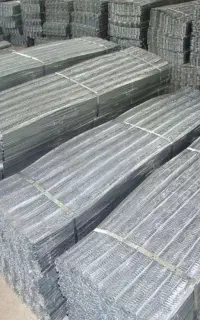 رابیس یک کیلویی