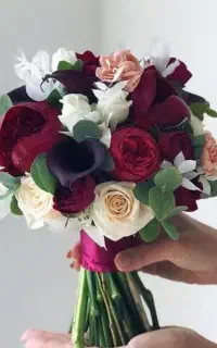 فیلمبرداری از مجالس.  باتخفیف ویژه