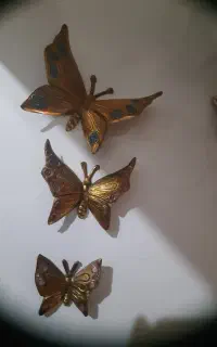 پروانه برنز