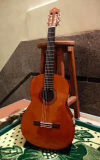 گیتار c40