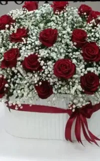 زیبا و شیک ارزان