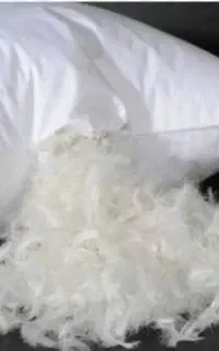 بالش