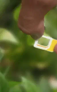 سیمکارت رند
