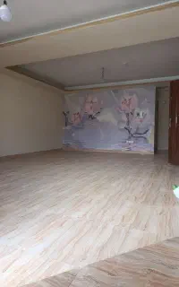 من خانم هستم متاهل دنبال کارم نطافت نیازم