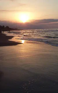 تور ب یاد ماندنی و شاد شمال از جنگل تا دریا