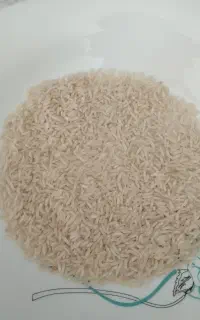 برنج طاروم هاشمی