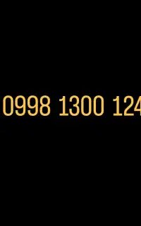 09981300124