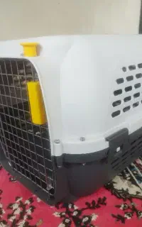 لوازم گربه ظرف خاک و...