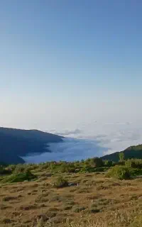 خط تلفن ثابت