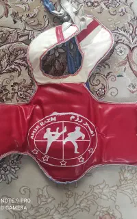 دو عدد هوگو