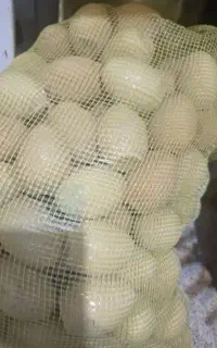 تخم مرغ سفالی