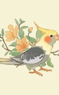 دو فرشته گمشده (عروس هلندی)