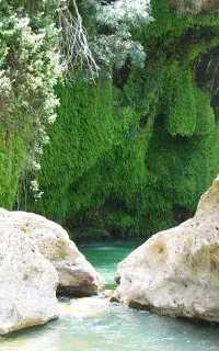تور یکروزه تنگ براق