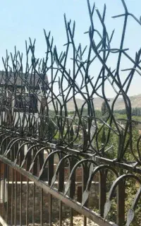 حفاظ شاخ گوزنی، نرده اهنی، درب