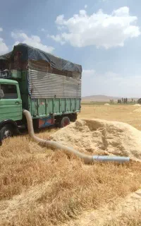 کاه نرم و تمیز