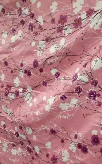 رو تشکی