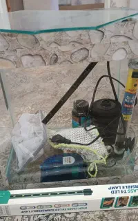آکواریوم ماهی