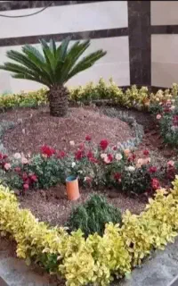 خدمات باغبانی باغچه کاری تعویض خاک گلدان کاشت گل