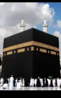 فیش حج عمره الویت 230