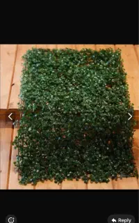 گرین وال طرح دار و ساده
