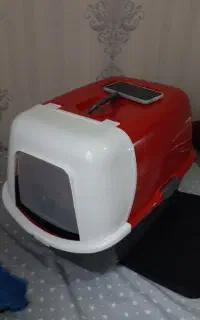 ظرف خاک و کیف حمل و سایر وسایل گربه