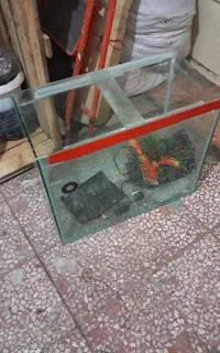 آکواریم