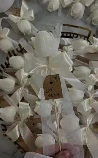 حنا و گیفت نور مناسب
