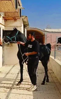 سوارکاری سالار