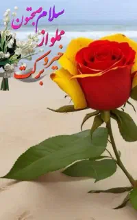 خط رند۰۹۱۳۴۰۰۰۵۵۲