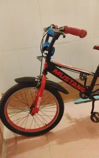 دوچرخه