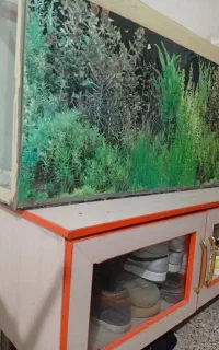 آکواریوم