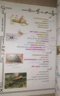 جزوه علوم پایه نهم