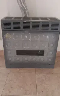 بخاری ۳۰ هزار سالم آلیش