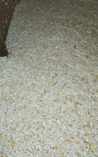 دستگاه تخمه هندوانه و کدو مخزن دار وجک دار