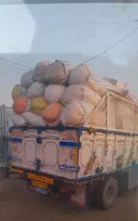 کاه شلیفی