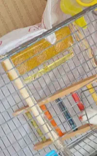 فروش