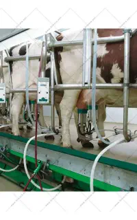 فروش دستگاه صنعتی  شیر دوش چهار واحدی