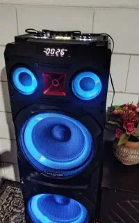 اسپیکر دوقلو مچر