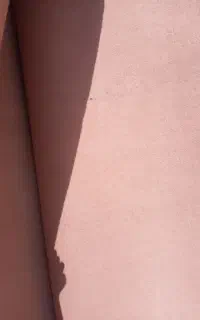 موکت