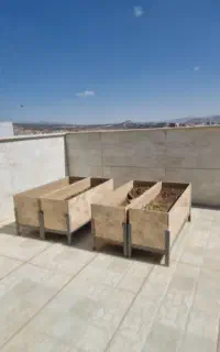 گلدانهای اپارتمانی