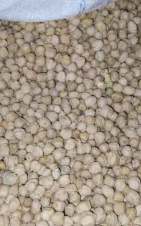 نخود پاک شده