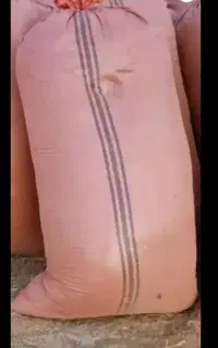 سبوس برنج