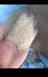 کنستانتره پرواری درجه یک