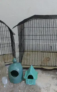 قفس پرنده
